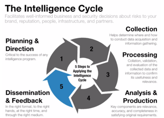 How To Use The Intelligence Cycle To Secure Your Brand